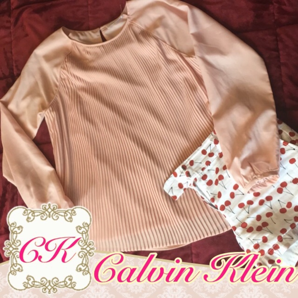 🌸Beautiful Calvin Klein Pleated Blouse 👚